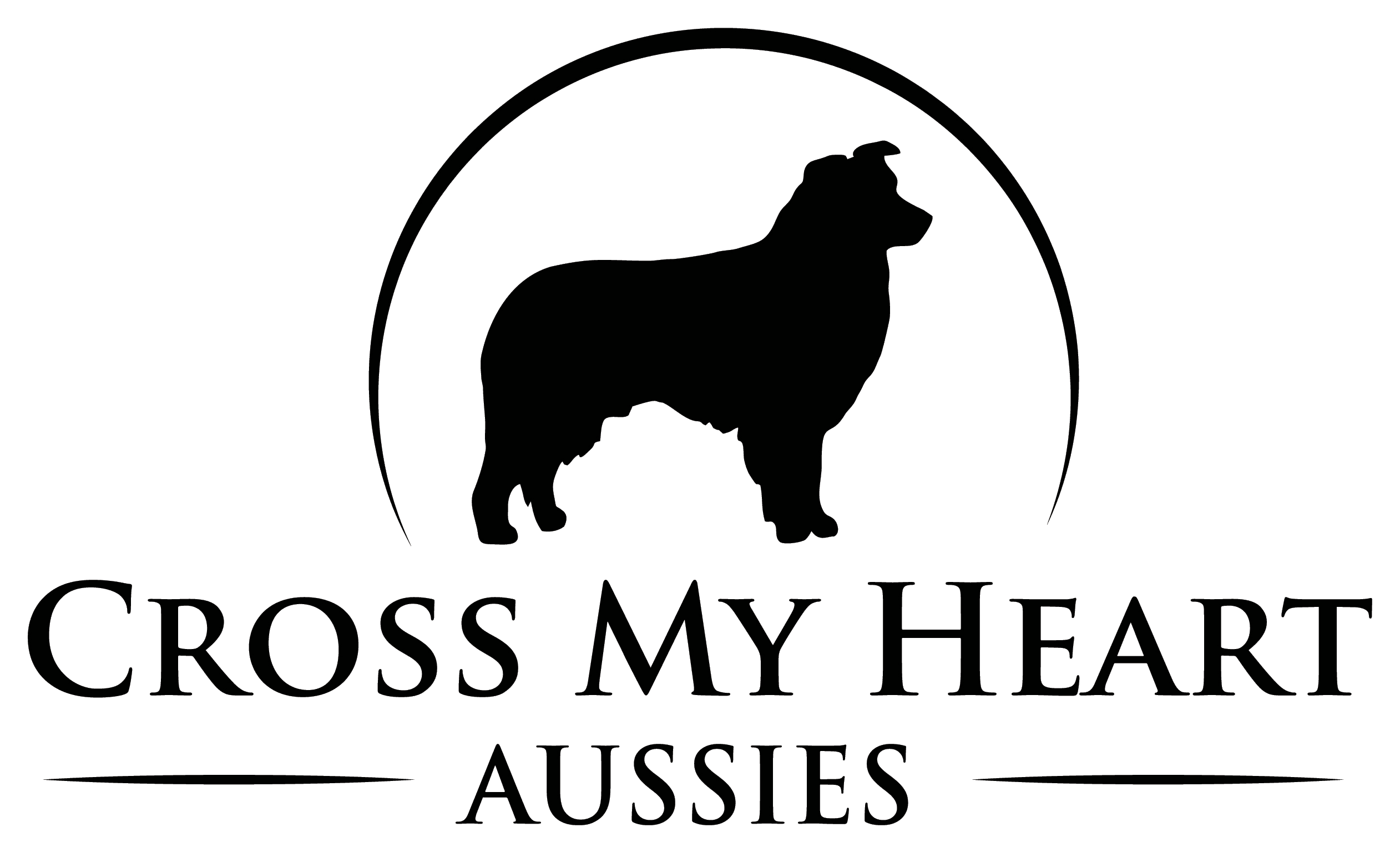 Cross My Heart Aussies | "My Site"